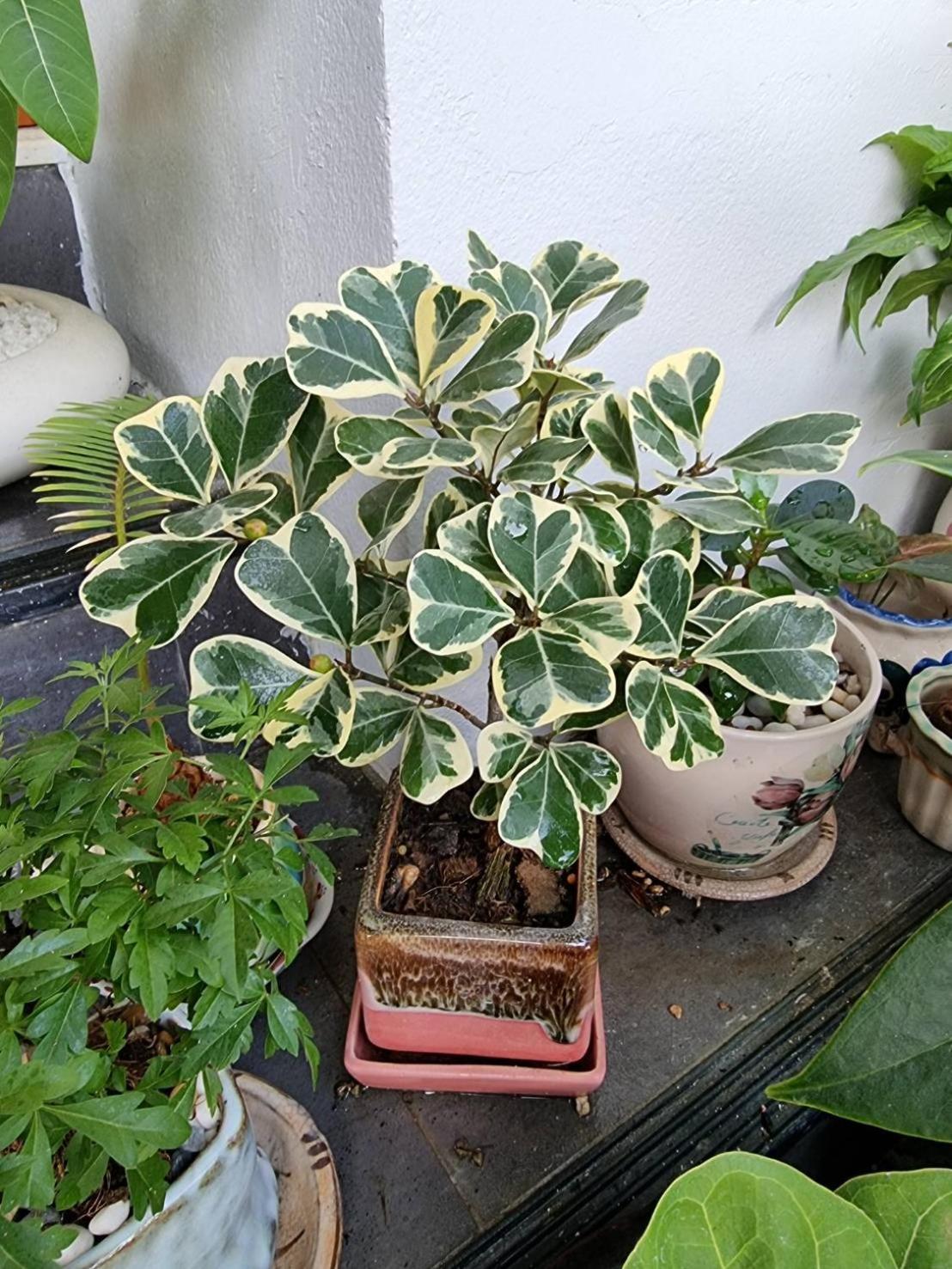 佛丕 思达旅舍旅舍 外观 照片